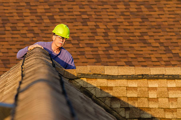 Best Residential Roof Replacement  in Wilson, NC