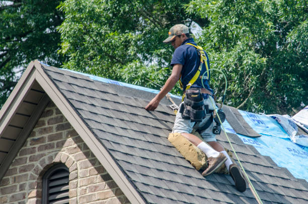 Best Roof Leak Repair  in Wilson, NC